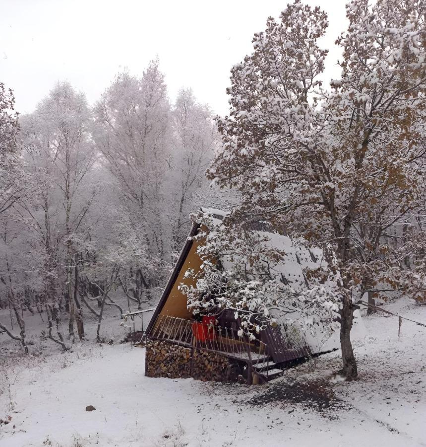 Villa Glamping Wolf Mount Margahovit Exterior foto